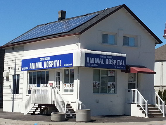 Welcome We Are Now Open